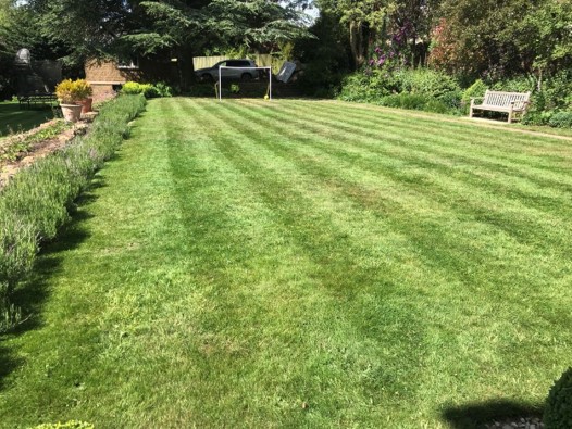 Lawn mowing services in Auckland